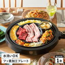 APIX INTL アピックスインターナショナル GRILL MEISTER グリルプレート 焼肉プレート グリルマイスター ブラック 黒 AGP-350