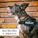 【最大1000円OFFクーポン配布中】 Julius-K9 IDCパワーハーネス ユリウスK9 犬 ハーネス ベルト 小型犬 中型犬 ユリウスケーナイン 胴輪 歩行補助