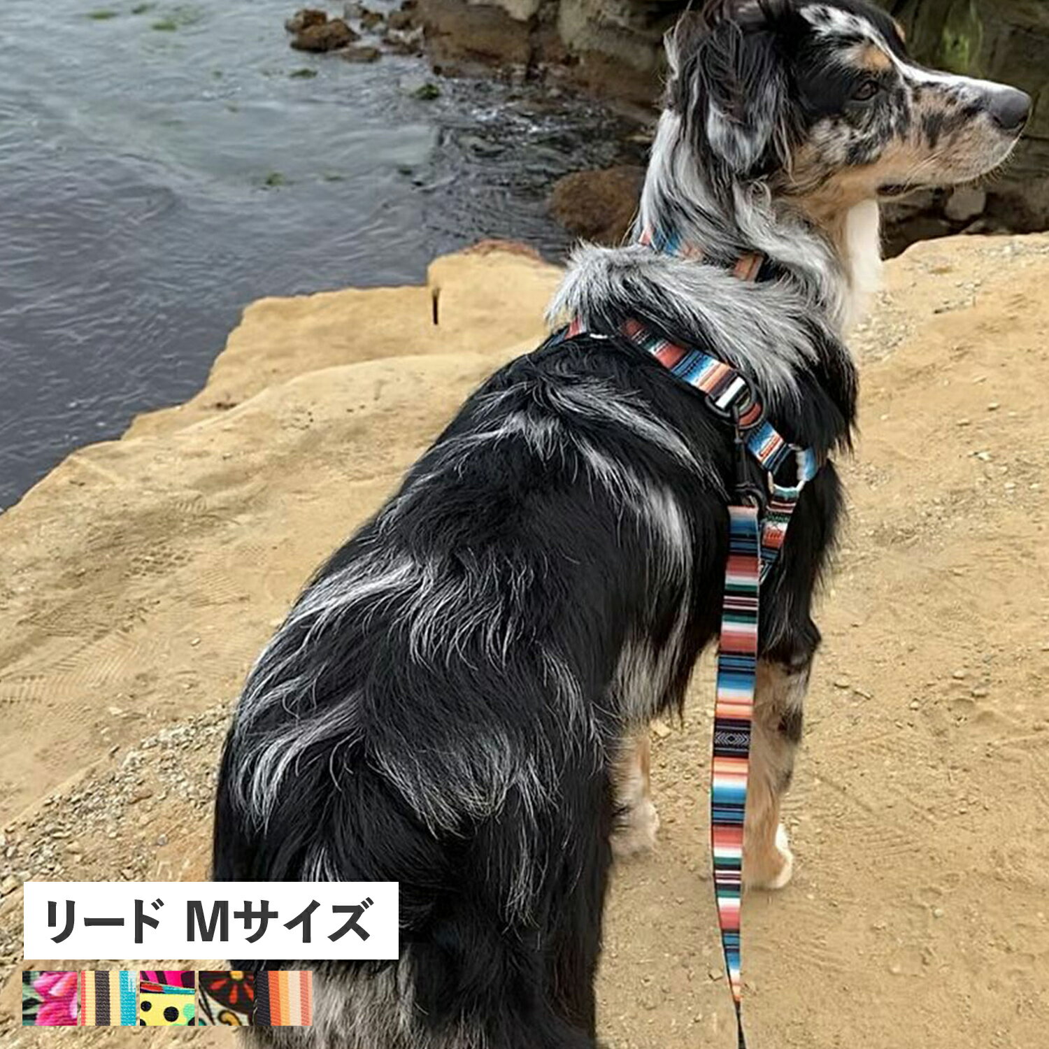 WOLFGANG LEASH ウルフギャング リード 中型犬 大型犬用 Mサイズ リーシュ