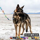 【最大1000円OFFクーポン配布中】 WOLFGANG LEASH ウルフギャング リード 中型犬 大型犬用 Mサイズ リーシュ