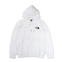 【最大1000円OFFクーポン配布中】 THE NORTH FACE BOX NSE PULLOVER HOODIE ノースフェイス パーカー プルオーバー フーディー メンズ 防寒 ホワイト 白 NF0A7UNS