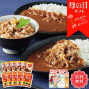 母の日 プレゼント ギフト 2024 メッセージカード付き 送料無料 「すき家」あいがけ牛カレー（牛丼の具と横濱カレー） 「SG5C5」 グルメ カレー すき屋 牛丼 電子レンジ 湯せん 簡単 便利 すき家牛丼の具 すき家横濱カレー 詰合せ