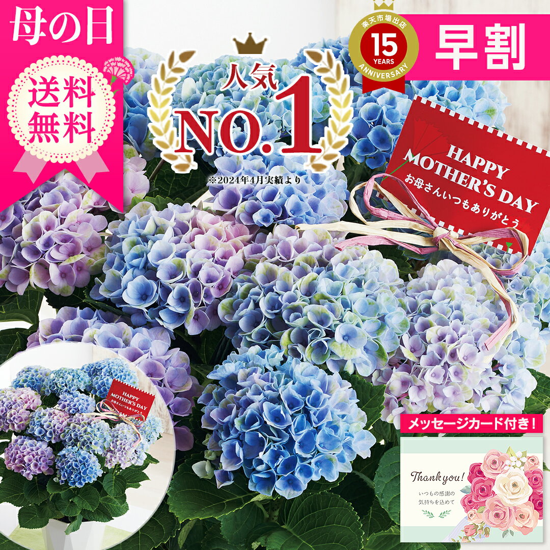 ms37-3a.jpg ms37-3a.jpg