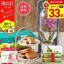 【マラソンポイント最大33倍】【遅れてごめんね】 母の日 ギフト プレゼント メッセージカード付き 2025 送料無料 プレゼント マイクロ胡蝶蘭&「銀座千疋屋...
