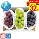 【お買物マラソンpoint最大32倍】 お中元 早割 御中元 夏ギフト ギフト プレゼント 暑中見舞い 2025 送料無料 3種のぶどう食べ比べ「B15-4」フルーツ 果物 ぶどう 食べ比べ 贈り物 お返し ご挨拶 詰合せ 詰め合わせ のし 名入れ可