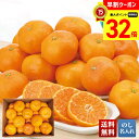 【お買物マラソンpoint最大32倍】 お中元 早割 御中元 夏ギフト ギフト プレゼント 暑中見舞い 2025 送料無料 佐賀県産 ハウスみかん「R13-1S」フルーツ 果物 佐賀県産 みかん 贈り物 お返し ご挨拶 詰合せ 詰め合わせ のし 名入れ可