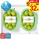 【お買物マラソンpoint最大32倍】 お中元 早割 御中元 夏ギフト ギフト プレゼント 暑中見舞い 2025 送料無料 熊本県産 シャインマスカット「Y15...