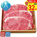 【お買物マラソンpoint最大32倍】 お中元 早割 御中元 夏ギフト ギフト プレゼント 暑中見舞い 2025 送料無料 チャンピオン農家の宮崎牛 サーロインステーキ用(5等級)「Y5-5Y」肉 牛肉 ブランド牛 宮崎牛 サーロインステーキ 贈り物 お返し 詰め合わせ のし 名入れ可