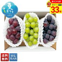 【マラソン最大33倍】 お中元 早割 6/1から100円OFF 御中元 夏ギフト ギフト プレゼント 暑中見舞い 2025 送料無料 3種のぶどう食べ比べ「B1...