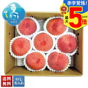 お中元 早割 御中元 夏ギフト ギフト プレゼント 暑中見舞い 2025 送料無料 JAふえふき 山梨の桃「A11-1B」フルーツ 果物 JAふえふき 桃 モモ...
