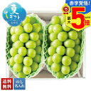 お中元 早割 御中元 夏ギフト ギフト プレゼント 暑中見舞い 2025 送料無料 山梨県産 シャインマスカット「A15-2」フルーツ 果物 ぶどう ブドウ シ...