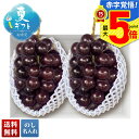 お中元 早割 御中元 夏ギフト ギフト プレゼント 暑中見舞い 2025 送料無料 山梨県産 巨峰「A15-3」フルーツ 果物 山梨県産 巨峰 贈り物 お返し ...