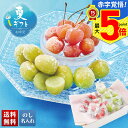お中元 早割 御中元 夏ギフト ギフト プレゼント 暑中見舞い 2025 送料無料 山形県産 冷凍さくらんぼ(佐藤錦)&冷凍シャインマスカット「A15-9」フル...