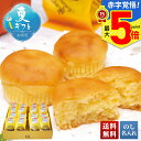お中元 早割 御中元 夏ギフト ギフト プレゼント 暑中見舞い 2025 送料無料 あとりえ市 なると金時スイートポテト「A20-5」スイーツ 和菓子 あとりえ市 なると金時 スイートポテト 贈り物 お返し ご挨拶 詰合せ 詰め合わせ のし 名入れ可