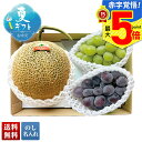 お中元 早割 御中元 夏ギフト ギフト プレゼント 暑中見舞い 2025 送料無料 北海道産 メロン&2種のぶどう詰合せ「B14-2」フルーツ 果物 メロン 北...