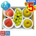 お中元 早割 御中元 夏ギフト ギフト プレゼント 暑中見舞い 2025 送料無料 山梨県産 桃&山梨県産 シャインマスカット&佐賀県産 伊万里梨「B14-3」...