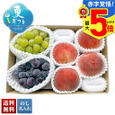お中元 早割 御中元 夏ギフト ギフト プレゼント 暑中見舞い 2025 送料無料 2種のぶどう&山梨県産 桃「B14-4」フルーツ 果物 ぶどう山梨県産 桃 ...