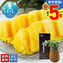 【赤字覚悟!最大5倍】 お中元 早割 御中元 夏ギフト ギフト プレゼント 暑中見舞い 2025 送料無料 JAおきなわ 沖縄県産 パインアップル「B15-1」フルーツ 果物 JAおきなわ 沖縄県産 パインアップル 贈り物 お返し ご挨拶 詰合せ 詰め合わせ のし 名入れ可