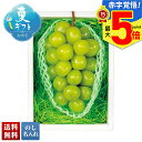 お中元 早割 御中元 夏ギフト ギフト プレゼント 暑中見舞い 2025 送料無料 山梨県産 シャインマスカット「B15-3」フルーツ 果物 ぶどう ブドウ シ...