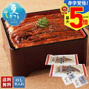 お中元 早割 御中元 夏ギフト ギフト プレゼント 暑中見舞い 2025 送料無料 鹿児島県産 うなぎ長蒲焼セット「KA-UK2」海鮮 魚 うなぎ 鰻 ウナギ ...