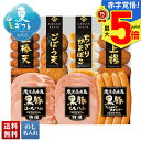 お中元 早割 御中元 夏ギフト ギフト プレゼント 暑中見舞い 2025 送料無料 プリマハム 黒豚ハムとさつまあげギフト「KKS-300N」肉加工品 ハム ブランドハム プリマハム さつまあげ 薩摩揚げ 贈り物 お返し 詰め合わせ のし 名入れ可