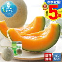 【赤字覚悟!最大5倍】 お中元 早割 御中元 夏ギフト ギフト プレゼント 暑中見舞い 2025 送料無料 北海道メロン(特大玉)「Q10-7B」フルーツ 果物 メロン 北海道産 贈り物 お返し ご挨拶 詰合せ 詰め合わせ のし 名入れ可