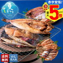 【ポイント最大5倍】 お中元 早割 御中元 夏ギフト ギフト プレゼント 暑中見舞い 2025 送料無料 北海一夜干し「Q4-5T」海鮮 鮮魚 シーフード 干物...