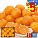 お中元 早割 御中元 夏ギフト ギフト プレゼント 暑中見舞い 2025 送料無料 佐賀県産 ハウスみかん「R13-1S」フルーツ 果物 佐賀県産 みかん 贈り...