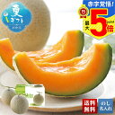 お中元 早割 御中元 夏ギフト ギフト プレゼント 暑中見舞い 2025 送料無料 北海道メロン「S10-1」フルーツ 果物 メロン 北海道産 贈り物 お返し ...
