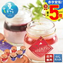 お中元 早割 御中元 夏ギフト ギフト プレゼント 暑中見舞い 2025 送料無料 「橋本牧場」十勝ベリープレミアムプリンセット「TBSBPS-6」スイーツ 洋...