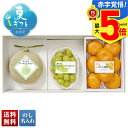【ポイント最大5倍】 お中元 早割 御中元 夏ギフト ギフト プレゼント 暑中見舞い 2025 送料無料 九州産 果実バラエティ「Y14-8」フルーツ 果物 九...