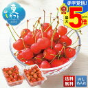 【赤字覚悟!最大5倍】 お中元 早割 御中元 夏ギフト ギフト プレゼント 暑中見舞い 2025 送料無料 北海道仁木産 さくらんぼ「Y15-12」フルーツ 果物 北海道 仁木産 さくらんぼ 贈り物 お返し ご挨拶 詰合せ 詰め合わせ のし 名入れ可