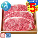 お中元 早割 御中元 夏ギフト ギフト プレゼント 暑中見舞い 2025 送料無料 チャンピオン農家の宮崎牛 サーロインステーキ用(5等級)「Y5-5Y」肉 牛肉 ブランド牛 宮崎牛 サーロインステーキ 贈り物 お返し 詰め合わせ のし 名入れ可