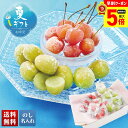 【最大ポイント5倍!7/1まで】 お中元 早割 御中元 夏ギフト ギフト プレゼント 暑中見舞い 2025 送料無料 山形県産 冷凍さくらんぼ(佐藤錦)&冷凍シャインマスカット「A15-9」フルーツ 果物 山形県産 冷凍 さくらんぼ 贈り物 お返し ご挨拶 詰め合わせ のし 名入れ可