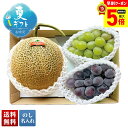 【最大ポイント5倍!7/1まで】 お中元 早割 御中元 夏ギフト ギフト プレゼント 暑中見舞い 2025 送料無料 北海道産 メロン&2種のぶどう詰合せ「B14-2」フルーツ 果物 メロン 北海道産 ぶどう ブドウ 贈り物 お返し ご挨拶 詰合せ 詰め合わせ のし 名入れ可