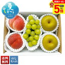 【最大ポイント5倍!7/1まで】 お中元 早割 御中元 夏ギフト ギフト プレゼント 暑中見舞い 2025 送料無料 山梨県産 桃&山梨県産 シャインマスカット&佐賀県産 伊万里梨「B14-3」フルーツ 果物 シャインマスカット 山梨県産 桃 贈り物 ご挨拶 詰め合わせ のし 名入れ可