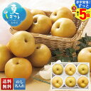 【赤字覚悟!ずっと!最大5倍】 お中元 早割 御中元 夏ギフト ギフト プレゼント 暑中見舞い 2025 送料無料 佐賀県産 伊万里梨「A15-8」フルーツ 果物 佐賀県産 梨 ナシ なし 贈り物 お返し ご挨拶 詰合せ 詰め合わせ のし 名入れ可