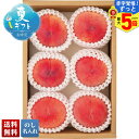 【赤字覚悟!ずっと!最大5倍】 お中元 早割 御中元 夏ギフト ギフト プレゼント 暑中見舞い 2025 送料無料 JA南アルプス市 南アルプスの桃「Q11-8B」フルーツ 果物 JA南アルプス市 南アルプス 桃 モモ もも 贈り物 お返し ご挨拶 詰合せ 詰め合わせ のし 名入れ可