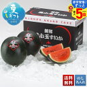 【赤字覚悟!ずっと!最大5倍】 お中元 早割 御中元 夏ギフト ギフト プレゼント 暑中見舞い 2025 送料無料 富良野麓郷産 黒小玉すいか「Y15-14」フルーツ 果物 山形県産 黒小玉すいか 贈り物 お返し ご挨拶 詰合せ 詰め合わせ のし 名入れ可
