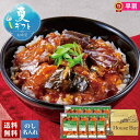 お中元 早割 御中元 夏ギフト ギフト プレゼント 暑中見舞い 2025 送料無料 おうちで本格派 四川風麻婆茄子丼の具「B29-1」グルメ 本格派 四川風 麻...