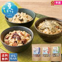 お中元 早割 御中元 夏ギフト ギフト プレゼント 暑中見舞い 2025 送料無料 南三陸志津川産 まぜご飯の素「B4-6」グルメ 混ぜご飯 南三陸志津川産 ま...