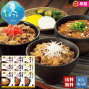 お中元 早割 御中元 夏ギフト ギフト プレゼント 暑中見舞い 2025 送料無料 霧島黒豚・黒毛和牛 ミニ丼の具3種セット「SK30」グルメ 丼 丼ぶり 肉加工品 霧島黒豚 黒毛和牛 丼の具 贈り物 お返し ご挨拶 詰合せ 詰め合わせ のし 名入れ可