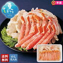 お中元 早割 御中元 夏ギフト ギフト プレゼント 暑中見舞い 2025 送料無料 ボイルずわいがに 1kg「W1-5」海鮮 シーフード カニ 蟹 かに ボイル...