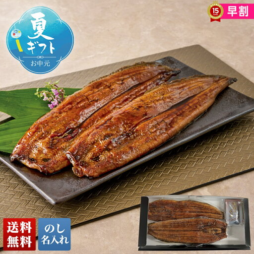お中元 早割 御中元 夏ギフト ギフト プレゼント 暑中見舞い 2025 送料無料 「浜名湖つるや」監修 浜松うなぎ蒲焼セット「Y4-8」海鮮 魚 うなぎ 鰻 ウナギ 蒲焼 浜名湖つるや監修 浜松うなぎ 贈り物 お返し 詰め合わせ のし 名入れ可 お中元 早割 御中元 夏ギフト ギフト プレゼント 暑中見舞い 2025 送料無料 「浜名湖つるや」監修 浜松うなぎ蒲焼セット「Y4-8」海鮮 魚 うなぎ 鰻 ウナギ 蒲焼 浜名湖つるや監修 浜松うなぎ 贈り物 お返し 詰め合わせ のし 名入れ可
