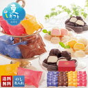 お中元 早割 6/1から100円OFF 御中元 夏ギフト ギフト プレゼント 暑中見舞い 2025 送料無料 「銀座京橋 レ ロジェ エギュスキロール」ショコラ...