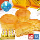 お中元 早割 6/1から100円OFF 御中元 夏ギフト ギフト プレゼント 暑中見舞い 2025 送料無料 あとりえ市 なると金時スイートポテト「A20-5」...