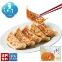 お中元 早割 6/1から100円OFF 御中元 夏ギフト ギフト プレゼント 暑中見舞い 2025 送料無料 天のびろく 北海道産餃子(プレミアム)「B26-2...
