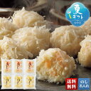 お中元 早割 6/1から100円OFF 御中元 夏ギフト ギフト プレゼント 暑中見舞い 2025 送料無料 「志岐蒲鉾本店」海鮮しゅうまい「B26-3」グルメ...