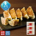 お中元 早割 6/1から100円OFF 御中元 夏ギフト ギフト プレゼント 暑中見舞い 2025 送料無料 横浜中華街「江戸清」黒豚餃子「DO-102」グルメ...