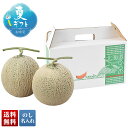 お中元 早割 御中元 夏ギフト ギフト プレゼント 暑中見舞い 2025 送料無料 富良野メロン「OFM-2」フルーツ 果物 メロン 富良野メロン 贈り物 お返...